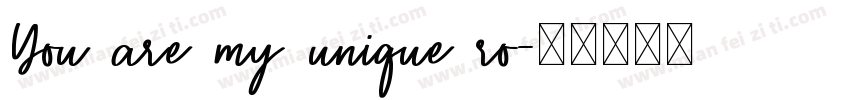 You are my unique ro字体转换